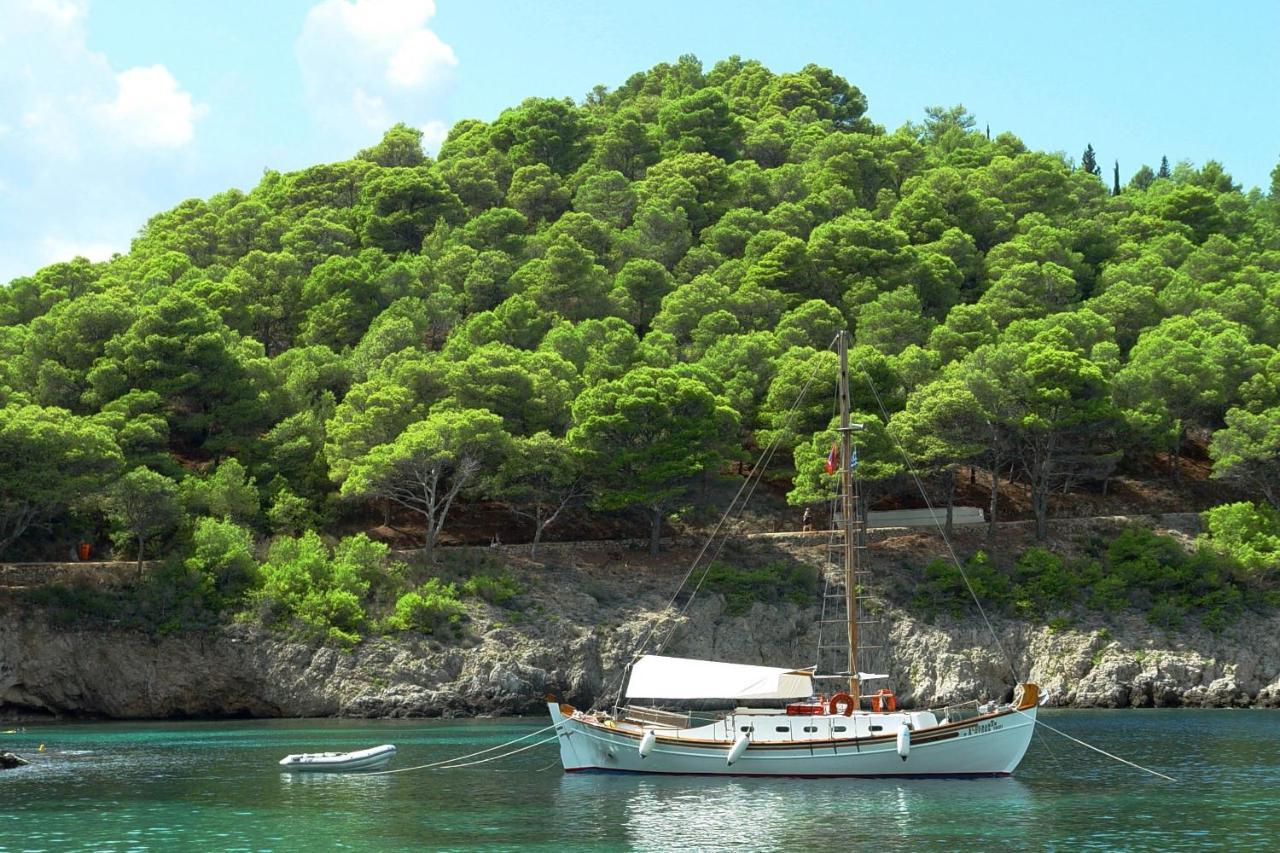 Apartamento Gardenia House